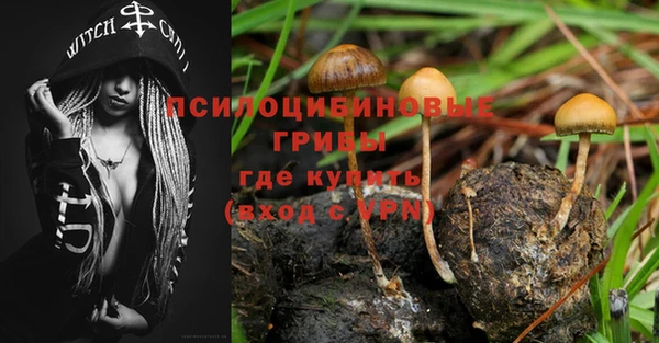 амфетамин Богданович